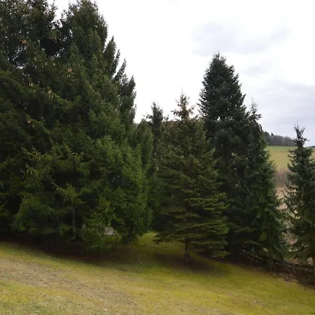 Luxurious In Eifel Near Town Center Balesfeld