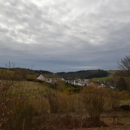Luxurious In Eifel Near Town Center Balesfeld